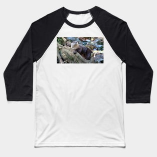 Northern River Otter Baseball T-Shirt